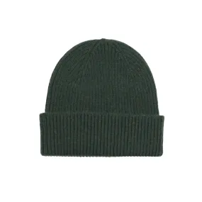 Colorful Standard Merino Wool Beanie (hunter green)