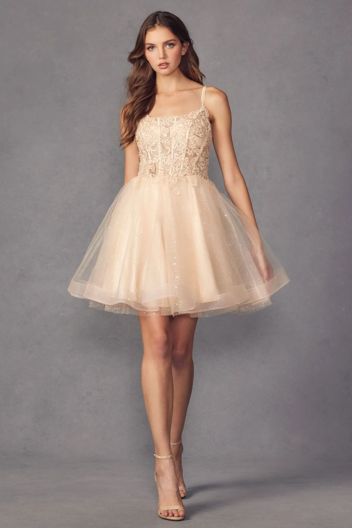 Embroidered Short Sleeveless Glitter Tulle Dress by Juliet 883