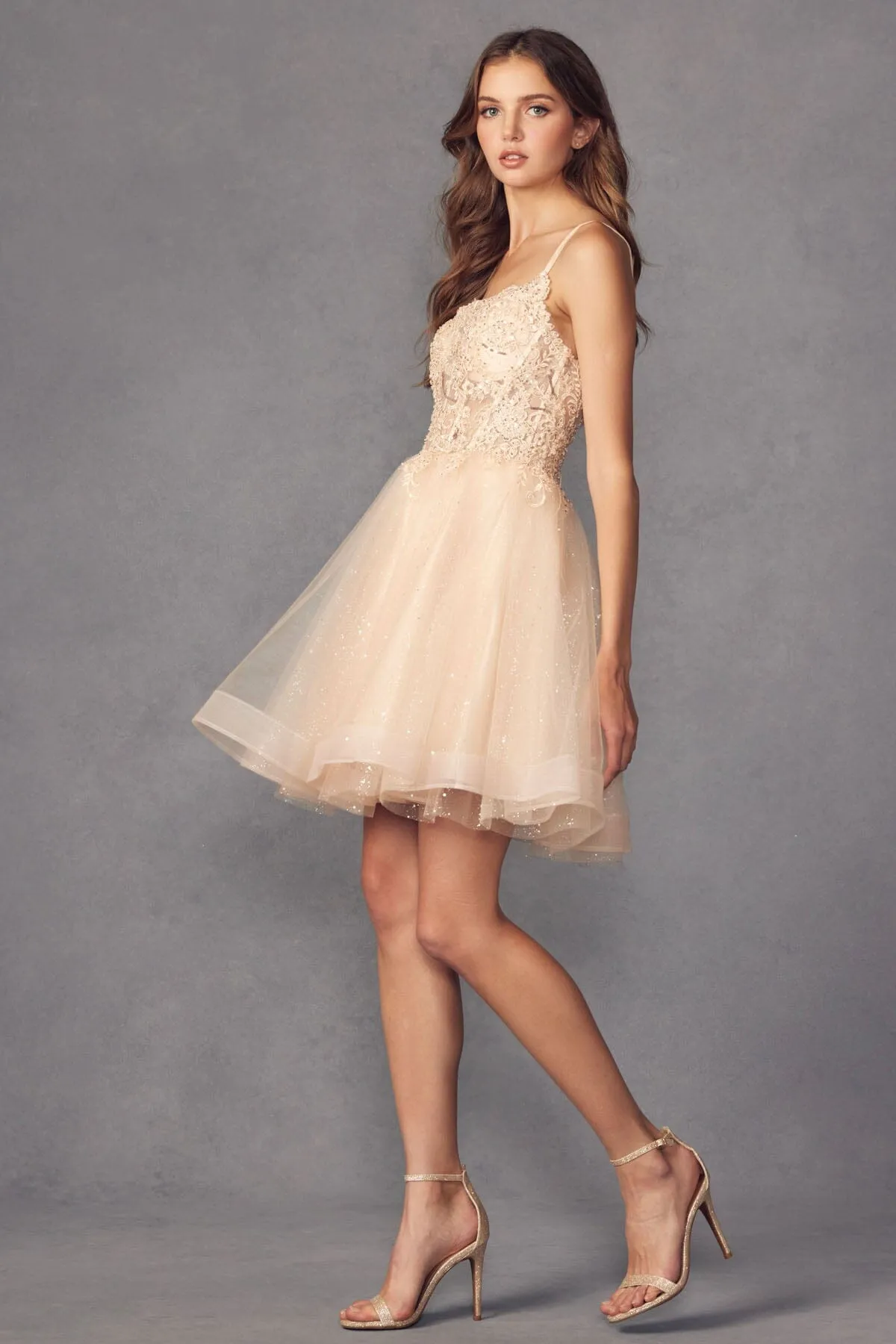 Embroidered Short Sleeveless Glitter Tulle Dress by Juliet 883