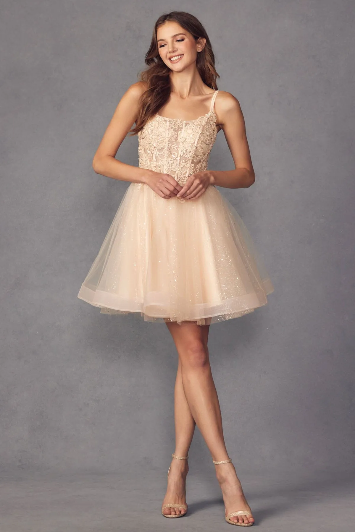 Embroidered Short Sleeveless Glitter Tulle Dress by Juliet 883