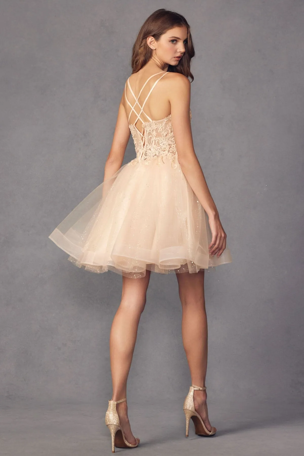 Embroidered Short Sleeveless Glitter Tulle Dress by Juliet 883