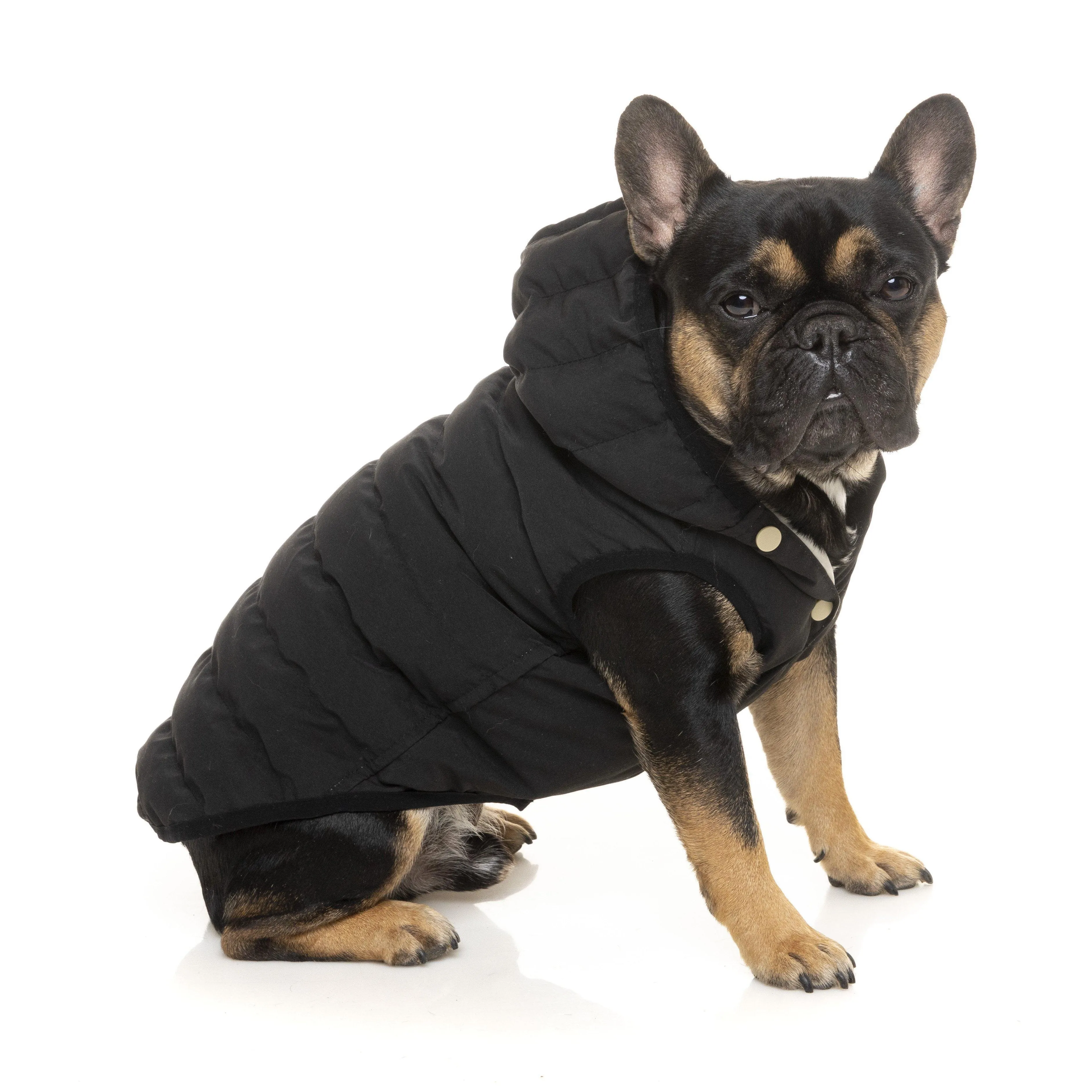 FuzzYard | Aspen Dog Jacket - Black